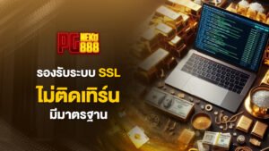 pgneko88 รองรับระบบ SSL ไม่ติดเทิร์น มีมาตรฐาน